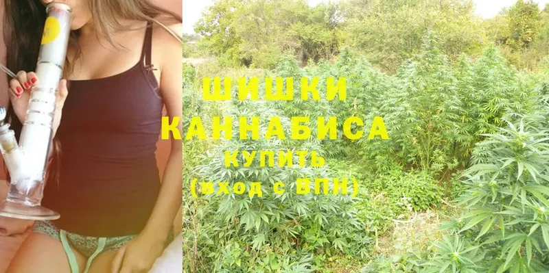 Марихуана White Widow  Всеволожск 